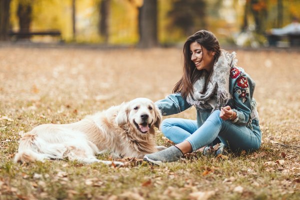 Les accessoires pour chien amusants pour le bonheur de votre compagnon
